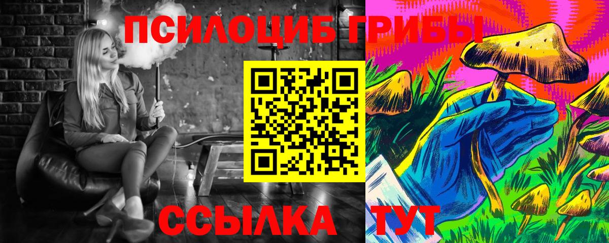 продажа наркотиков  Галлюциногенные грибы мухоморы  Вход с VPN  Дмитров  Псилоцибиновые грибы Psilocybe 